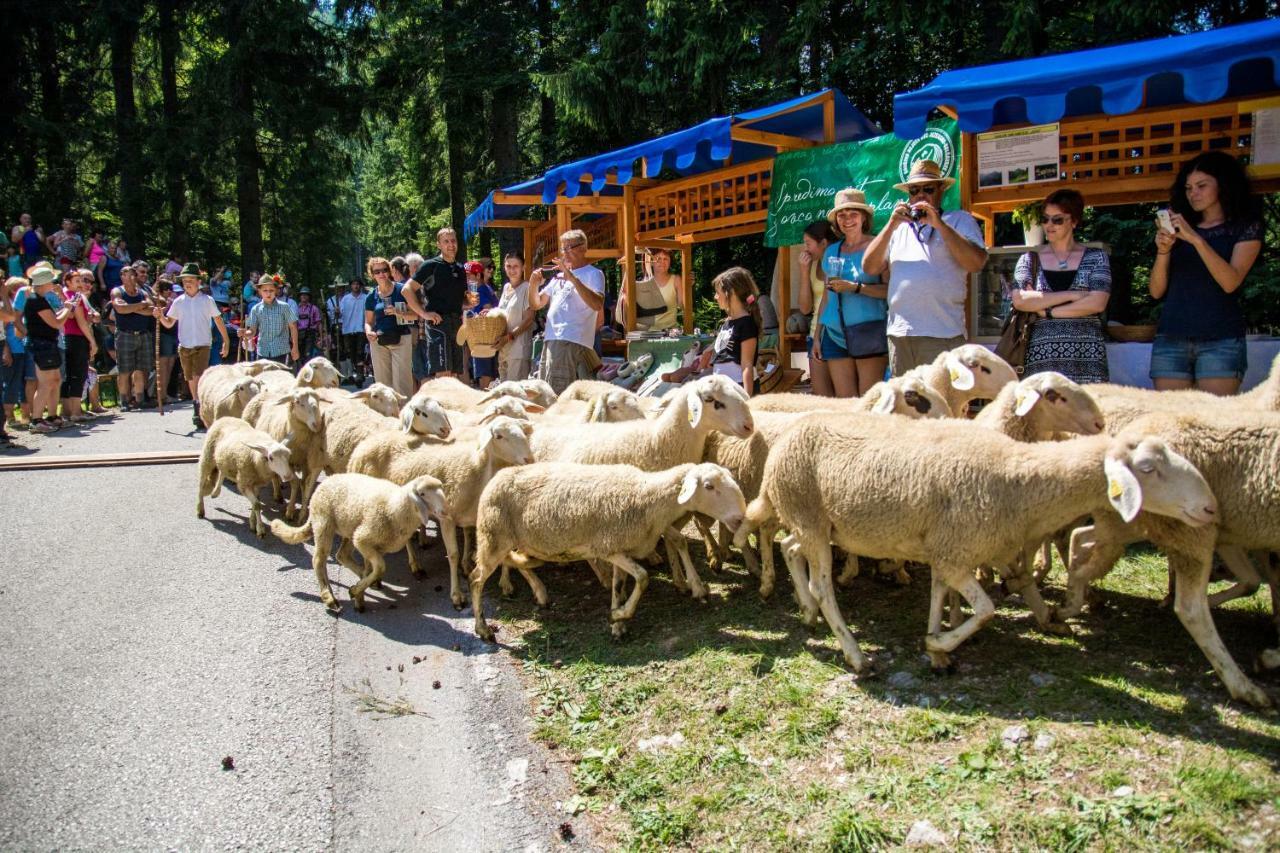 Homestay Kocka Zgornje Jezersko Exterior foto